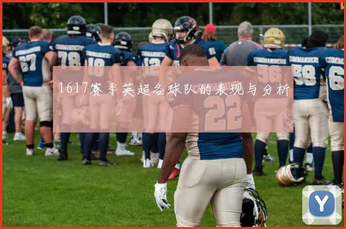 1617赛季英超各球队的表现与分析