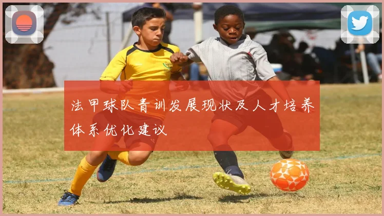 法甲球队青训发展现状及人才培养体系优化建议