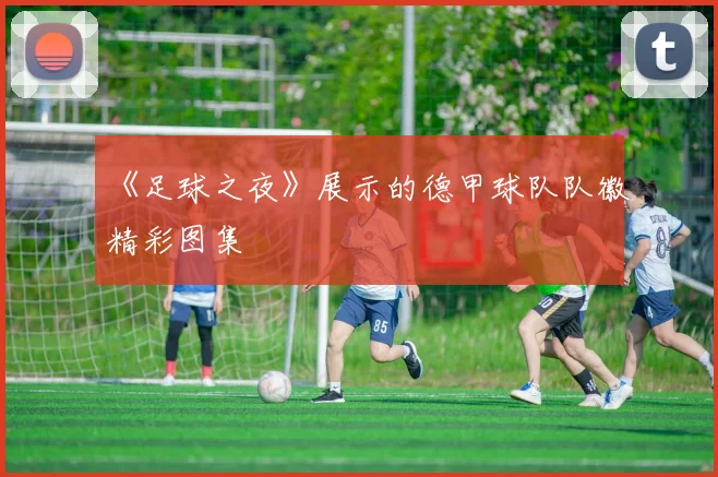 《足球之夜》展示的德甲球队队徽精彩图集