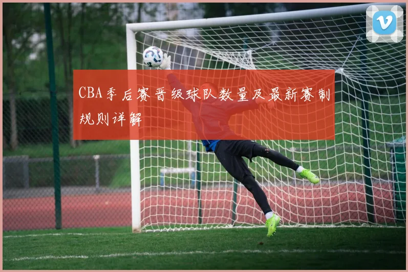 CBA季后赛晋级球队数量及最新赛制规则详解