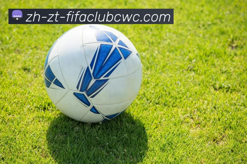 世界杯平台服务体系