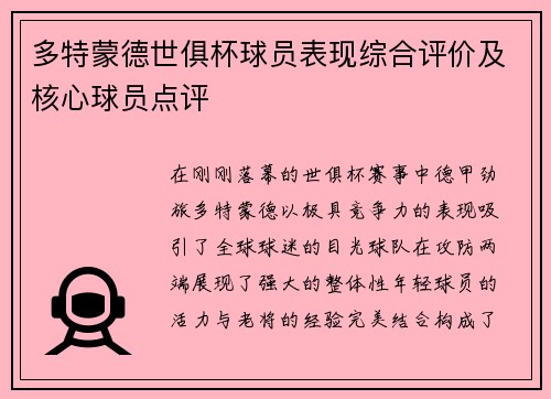 多特蒙德世俱杯球员表现综合评价及核心球员点评