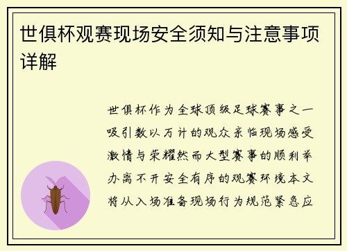 世俱杯观赛现场安全须知与注意事项详解